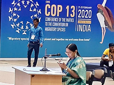 COP 13